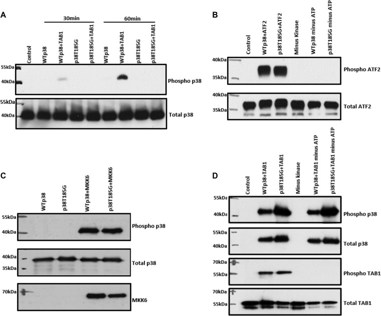 FIG 2