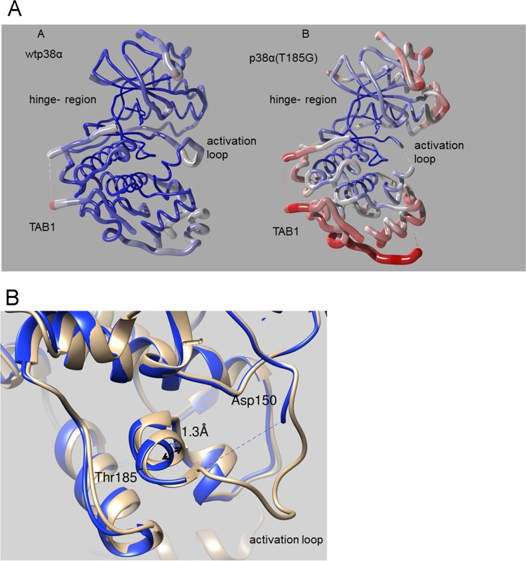 FIG 4