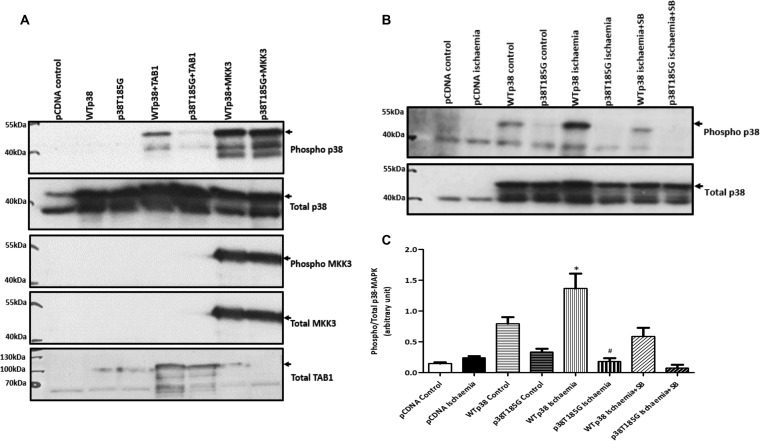 FIG 3