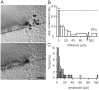 Fig. 9.