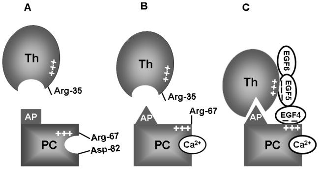 Fig. 3