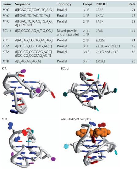 Box 3 | NMR structures of gene promoter G-quadruplexes