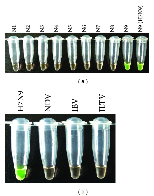 Figure 4