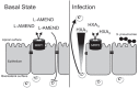 FIG 6