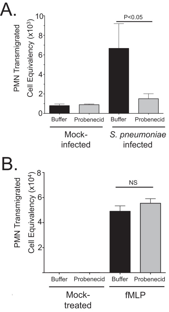 FIG 3 