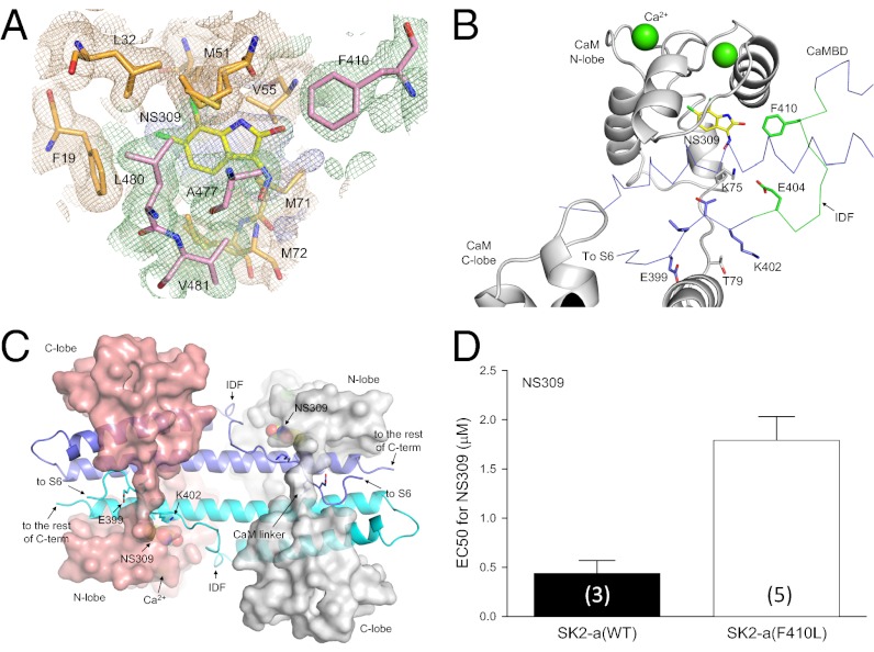 Fig. 3.