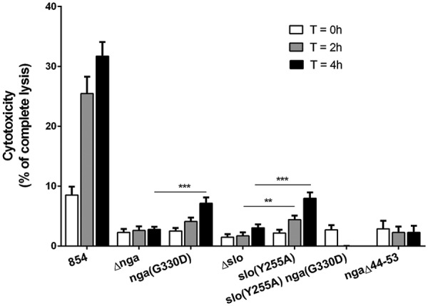 FIG 2 