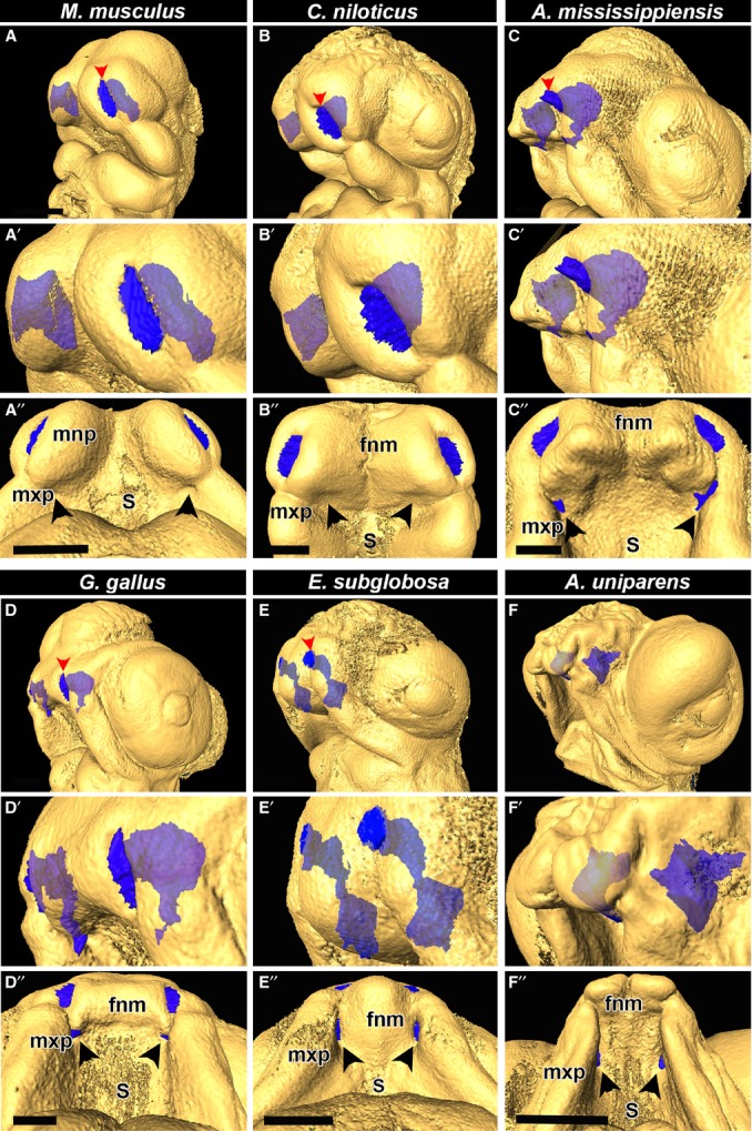 Fig 4