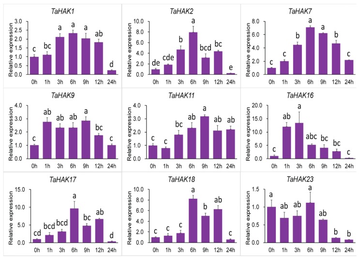 Figure 7