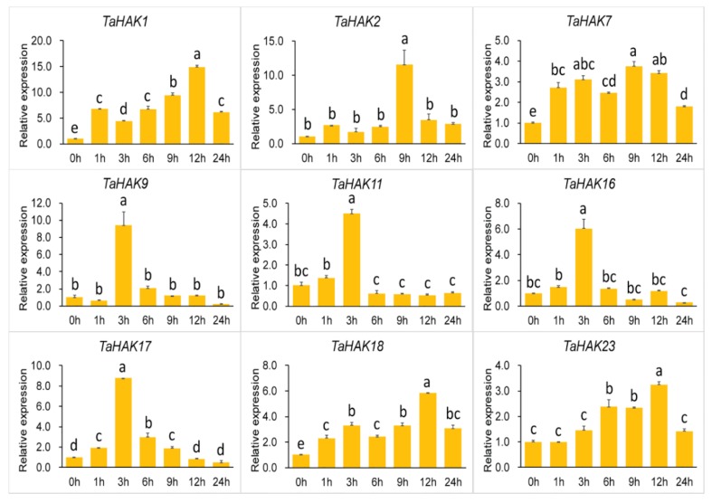 Figure 5