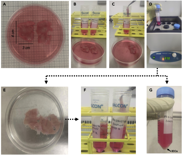 Figure 3