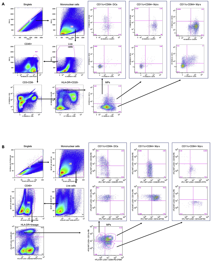 Figure 6