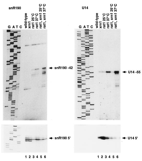 FIG. 3