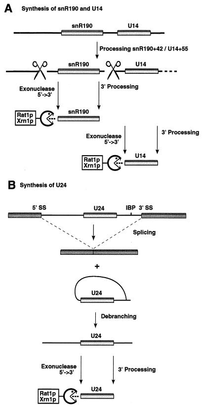 FIG. 7