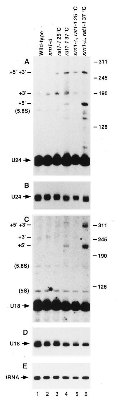 FIG. 5