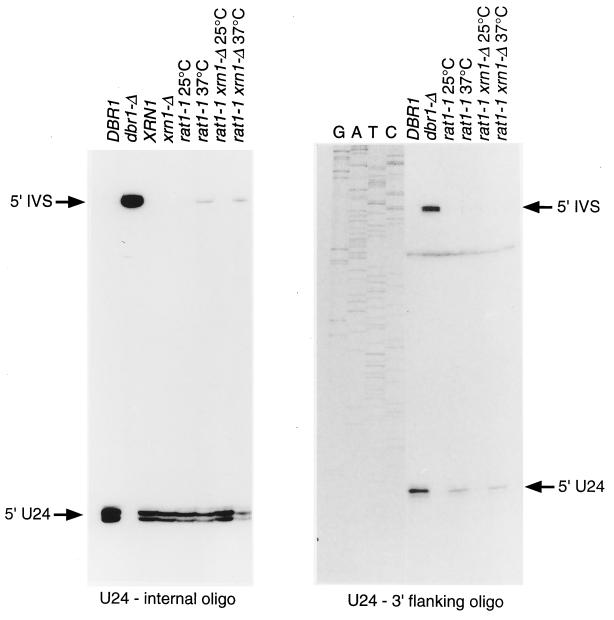 FIG. 6