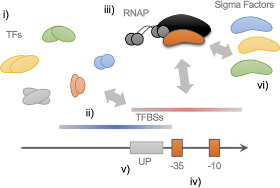 FIG 6