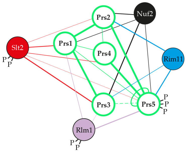 Figure 9