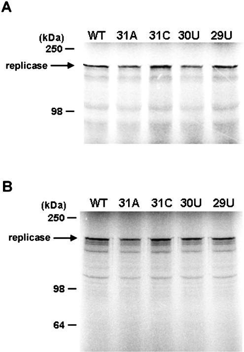 FIG. 4.