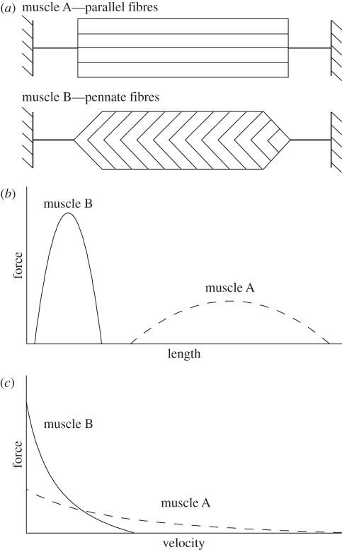 Figure 1.