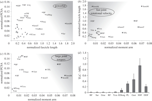 Figure 2.