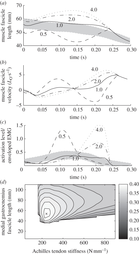 Figure 4.