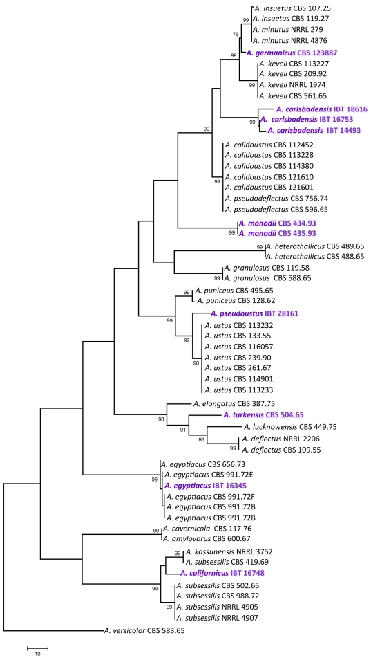 Fig. 1.