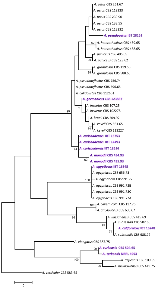 Fig. 3.