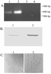 FIG. 6.