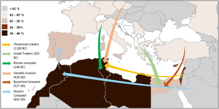 Fig 1