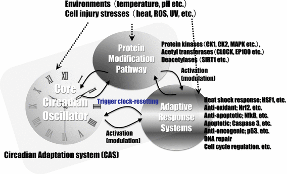 Fig. 2
