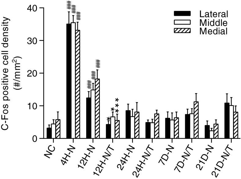 FIG. 12