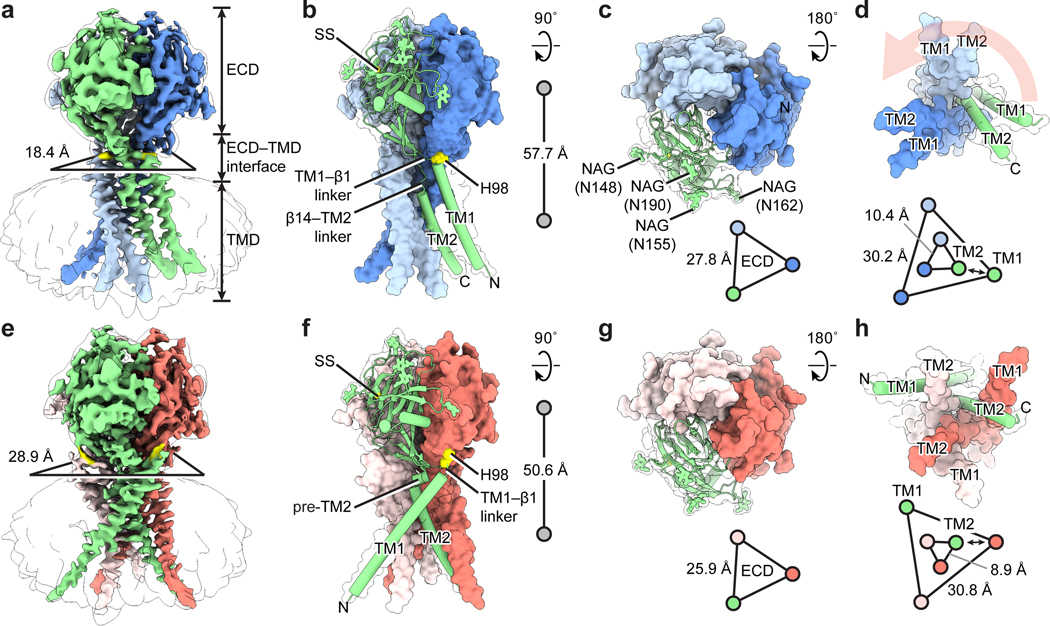 Figure 1: