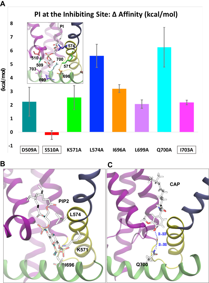 Figure 6