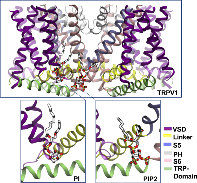 Figure 4