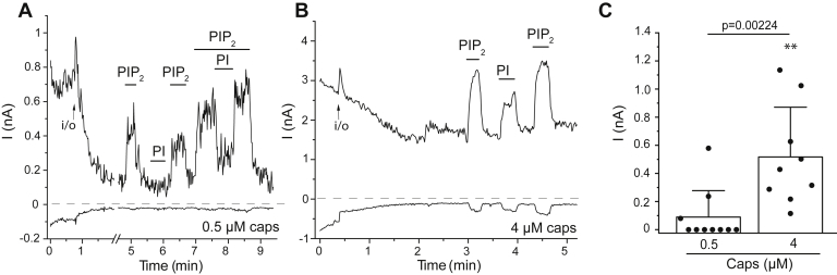 Figure 3