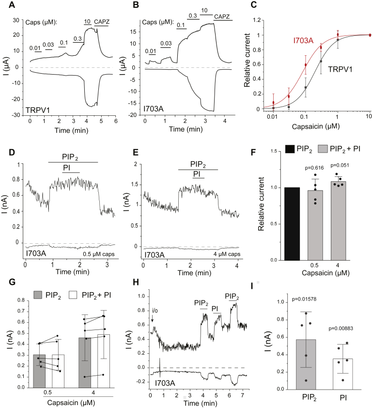 Figure 7