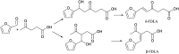 Fig. 16