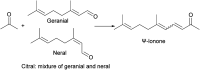 Fig. 20