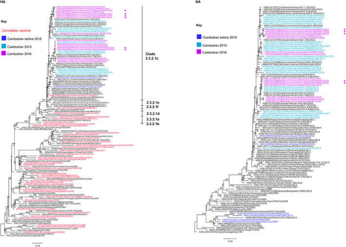 FIGURE 2