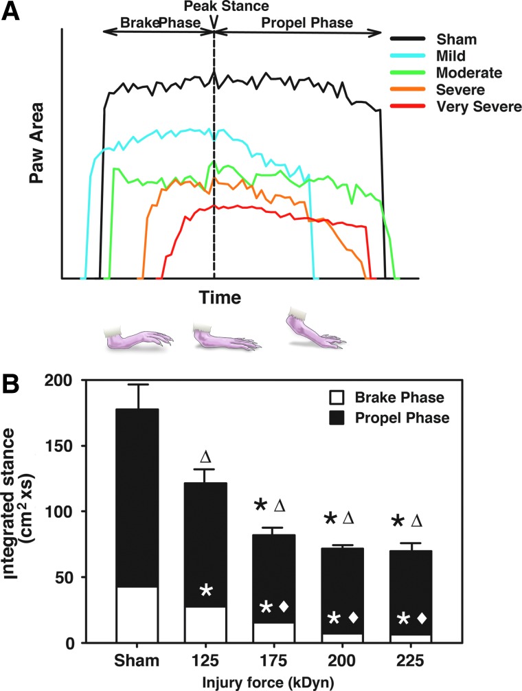 FIG. 6.