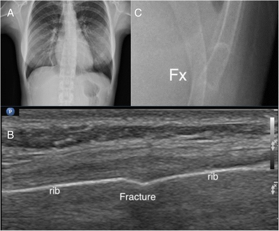 Fig. 7