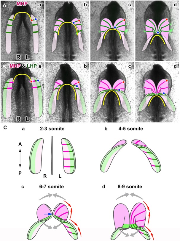 Fig. 7.