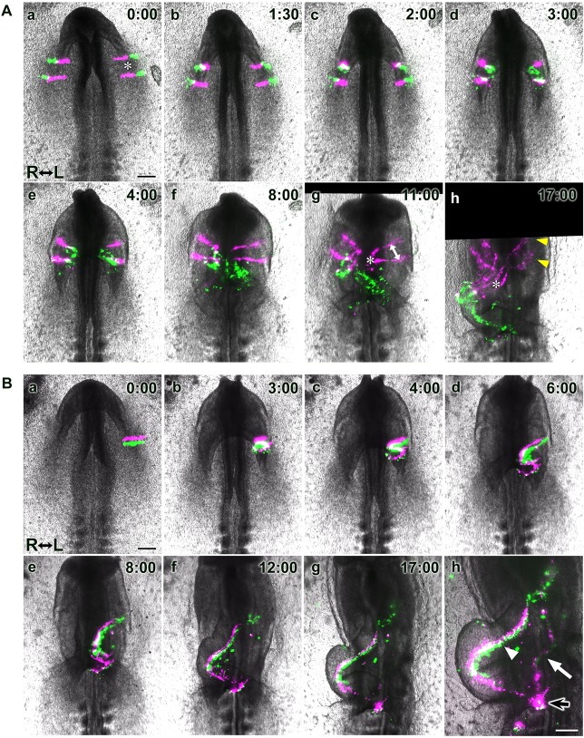 Fig. 3.