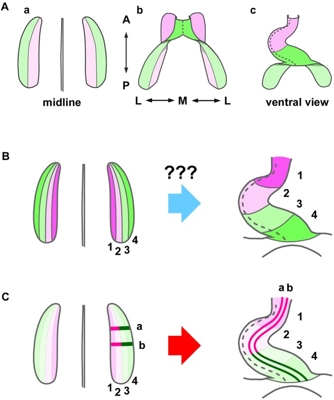 Fig. 1.