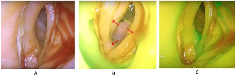 Figure 1: