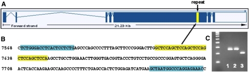 Figure 5 