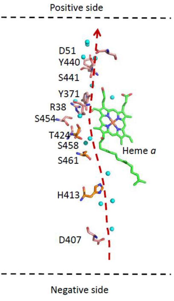 Fig. 12