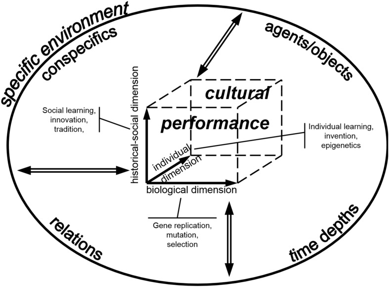 Figure 14