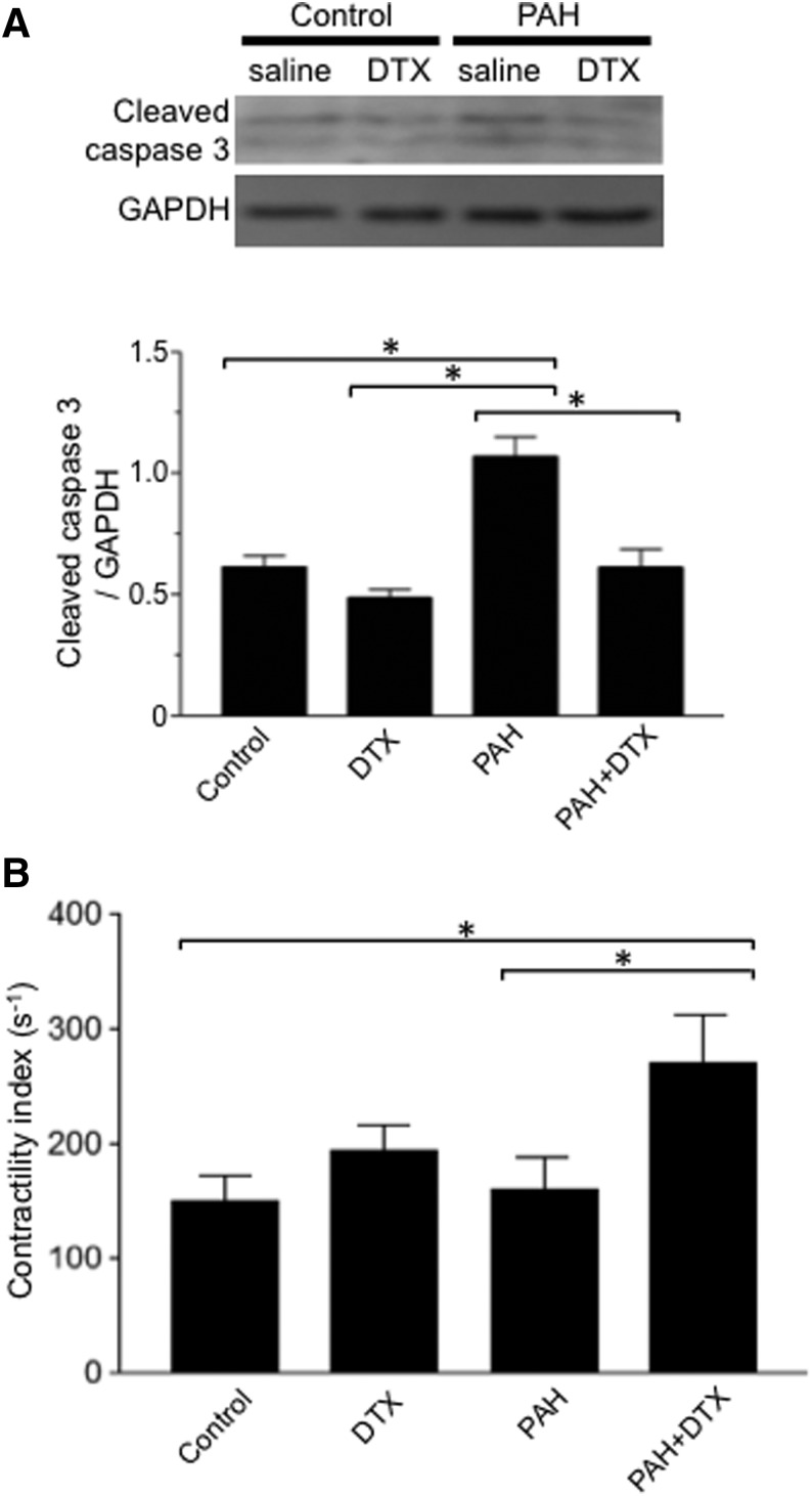 Fig. 12.